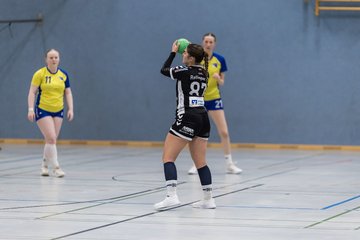 Bild 190 - F HSG Pinnau2 - Rellinger TV2 : Ergebnis: 27:20